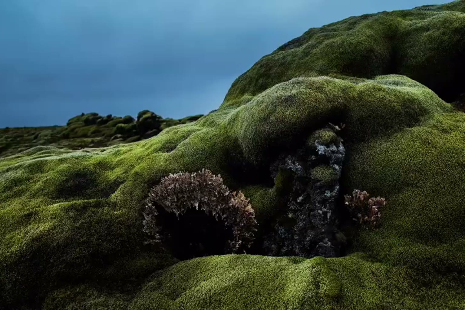 Moss-covered volcanic rock under a dark sky